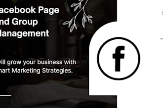 manage your facebook page setup and grown your fb group professionally