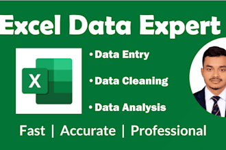do excel data entry, data cleaning, data formatting and data analysis