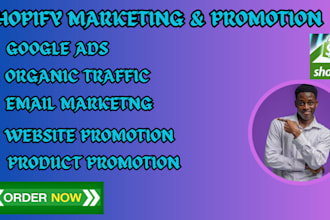 offer professional shopify marketing services