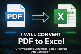 convert pdf to word, pdf to excel or CSV manual typing