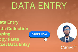 handle bulk data entry and admin tasks