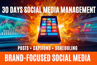 manage your social media, create content and grow your online presence
