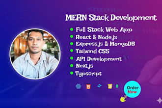develop professional mern stack full stack web application