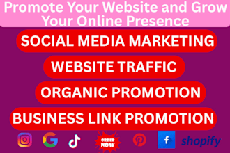 be your  digital marketing expert, tik tok ads,instagram ads, facebook ads