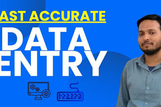 do accurate data entry, web research and excel work