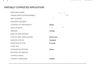 assist you to complete visa form for US, UK and schengen