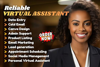 be your personal virtual assistant, social media virtual assistant, admin VA