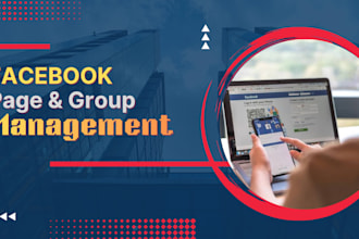 provide facebook page and group management service