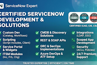 be your certified servicenow developer and do anything