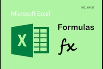 do excel formulas, functions and calculations