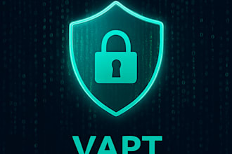 perform web penetration testing and vapt with report