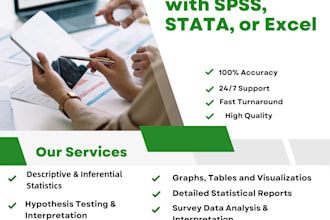 perform statistical analysis in spss, stata, or excel