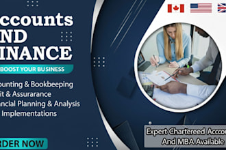 expert in accounting, bookkeeping, audit, finance and erp implementations