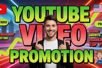 do organic USA youtube video promotion and channel growth