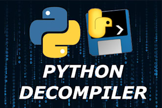 perform professional python decompilation service