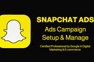 run and manage profitable snapchat ads for your business