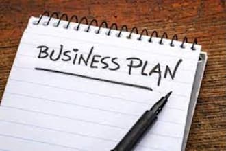 write business plans, petition letters for eb2 niw e2 and l1 visa
