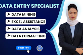 do data mining, excel data analysis and data formatting