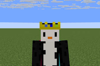 play minecraft java with you