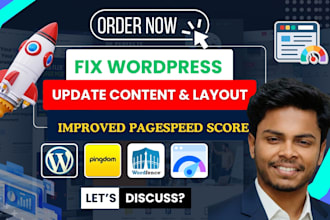 fix wordpress issues, do website updates and improve website speed