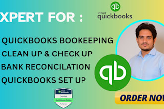 quickbooks online cleanup, bookkeeping and categorization