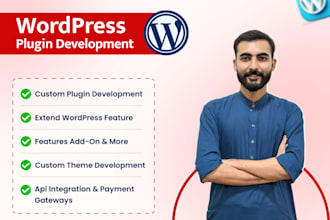 build custom wordpress plugins and automation systems