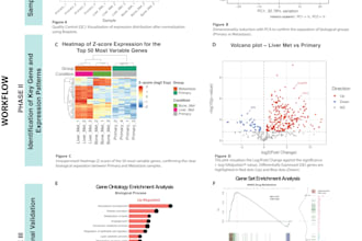 analyze processed rnaseq matrix performing functional dgea
