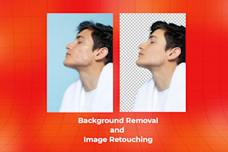 do background removal,bg remove,transparent,image retouching,harmonize