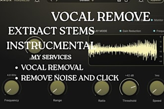 professionally remove vocals or extract instrumental from any song