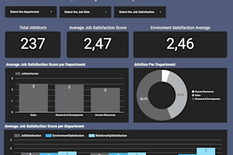 create a professional looker studio dashboard or report