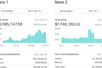 be your dropshipping coach shopify mentor and ecommerce consultant for beginners