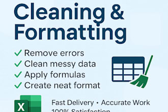 clean format and organize excel data professionally