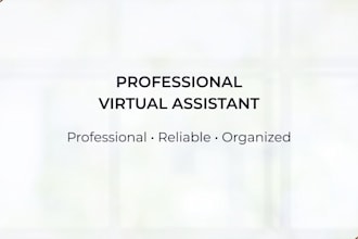 be your virtual assistant for admin, HR, data entry and emails
