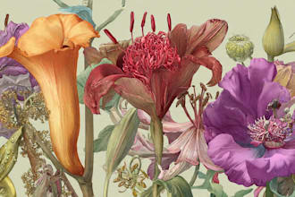 illustrate best botanical illustration