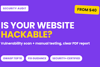 do website security audit and vulnerability scan with report