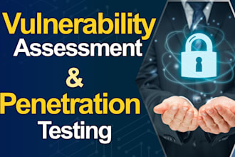 do expert vapt for your web application