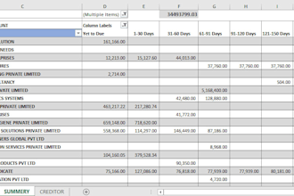 general expertise excel expert for any spreadsheet task