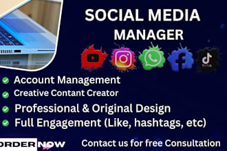 create high impact social media content, ads, and strategy