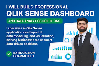 build professional qlik sense dashboards and data analytics solutions