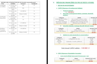 business plan for startup, restaurant, hotel, agriculture