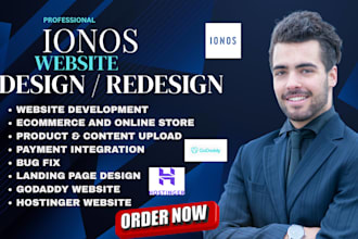 design a professional ionos, wordpress, hostinger or godaddy website
