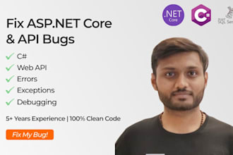 fix your asp net core, c sharp, or API bug fast