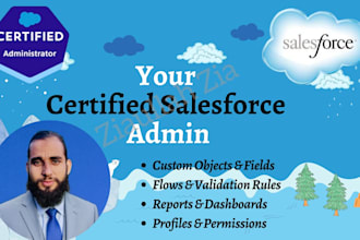 be your salesforce admin or salesforce developer