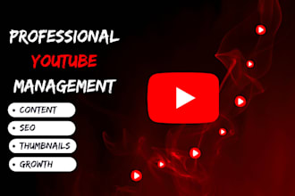 be your youtube channel manager and do channel seo