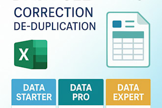 clean, organize and format your excel or CSV