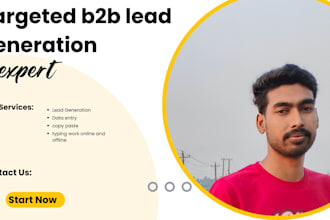 targeted b2b lead and data entry expert,