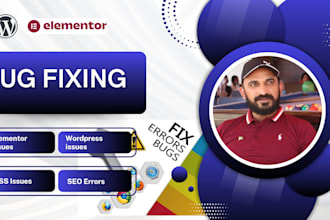 fix elementor issues, SEO errors, and CSS issues