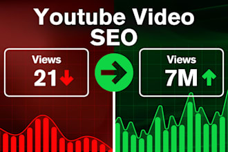 be your youtube video SEO expert and channel manager