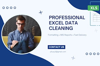 do excel expert data cleaning formatting mis report nd pivot