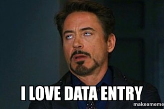 data entry and analytics